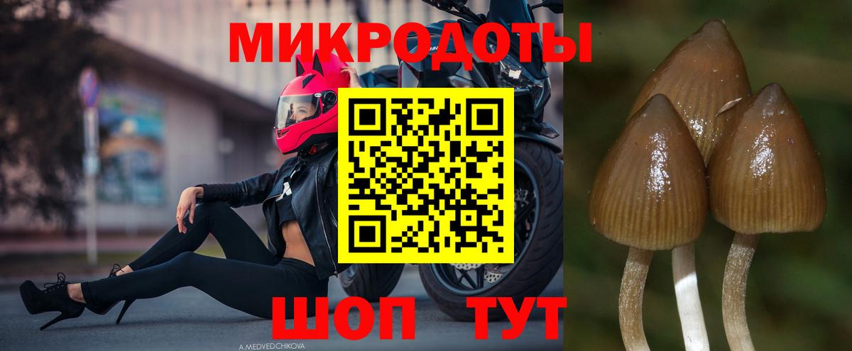 наркота  Вход с VPN  Серов  Псилоцибиновые грибы MAGIC MUSHROOMS 